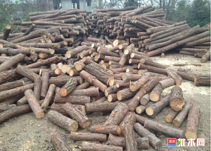 anywood.com