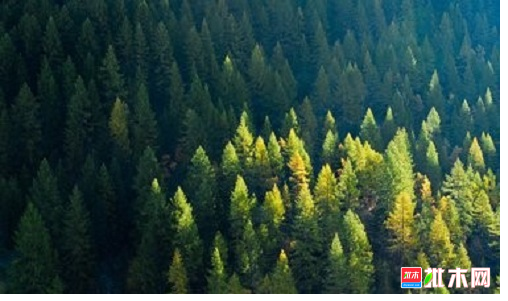 anywood.com