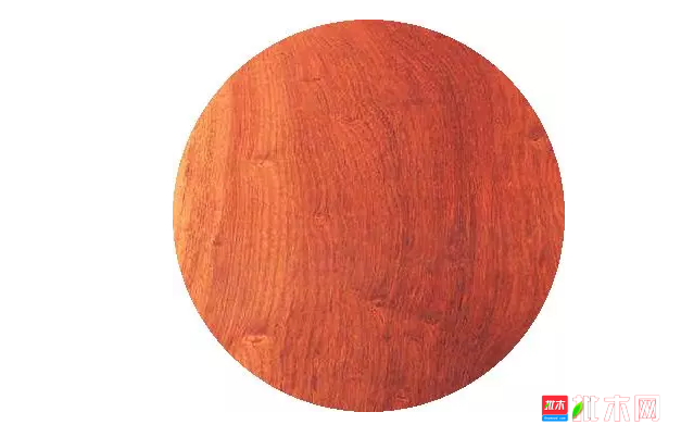 anywood.com