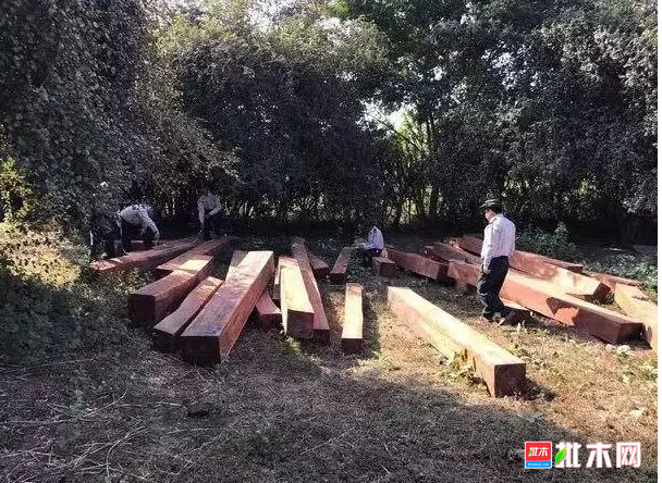 anywood.com