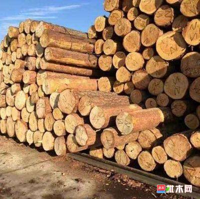 批木网 anywood.com