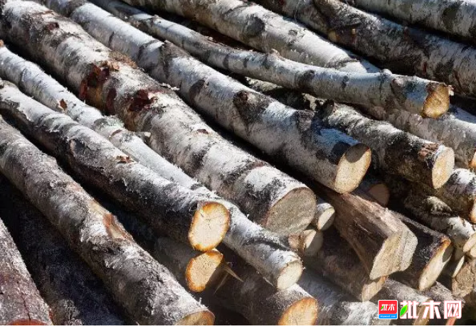 anywood.com