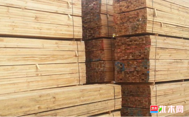 anywood.com