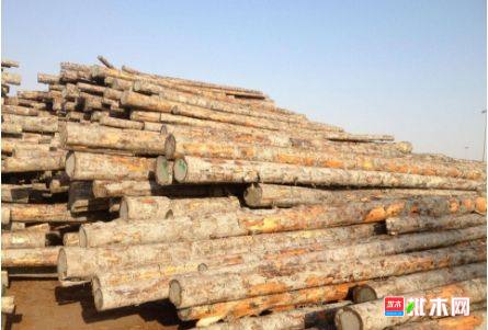 批木网 anywood.com