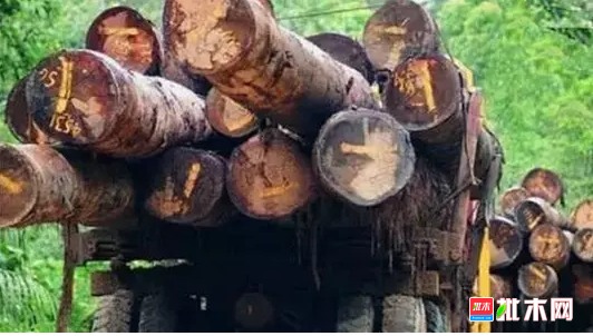 anywood.com