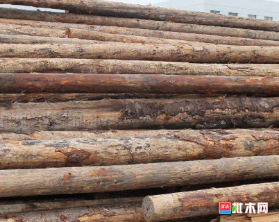 批木网 anywood.com