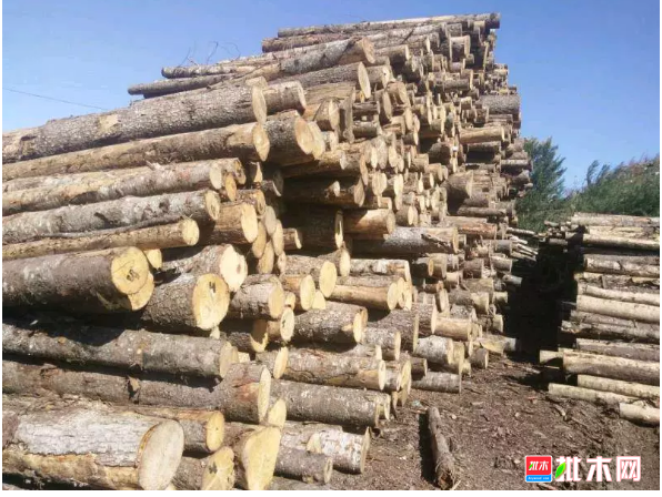 anywood.com