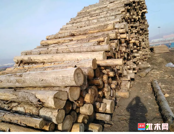 anywood.com