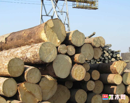 批木网 anywood.com