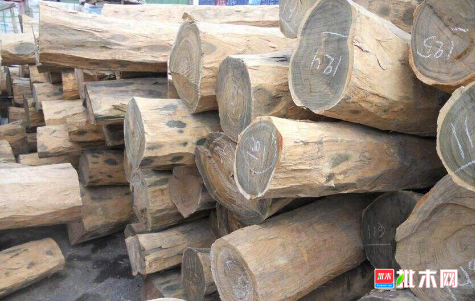 批木网 anywood.com