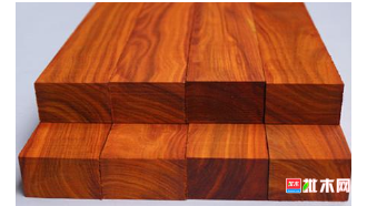 anywood.com