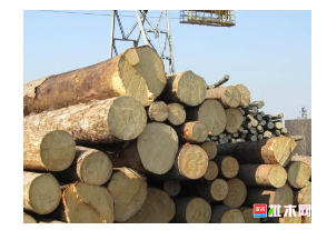anywood.com