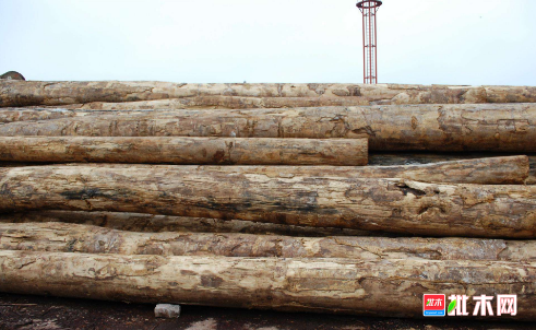 批木网 anywood.com