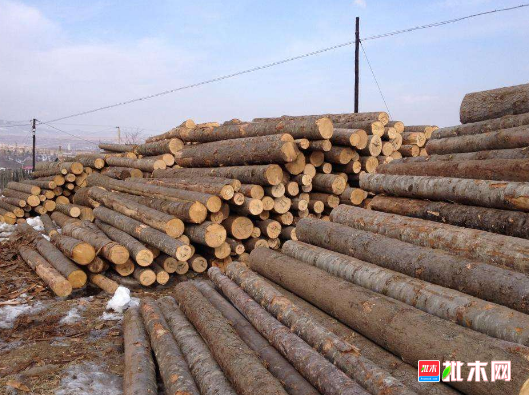 批木网 anywood.com