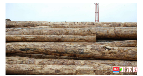 anywood.com