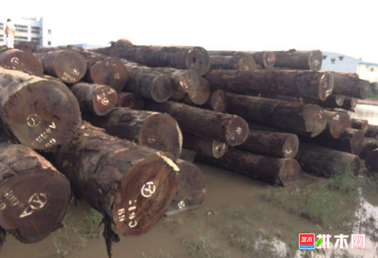 批木网 anywood.com