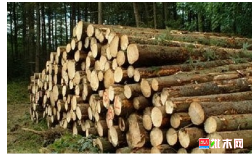 anywood.com