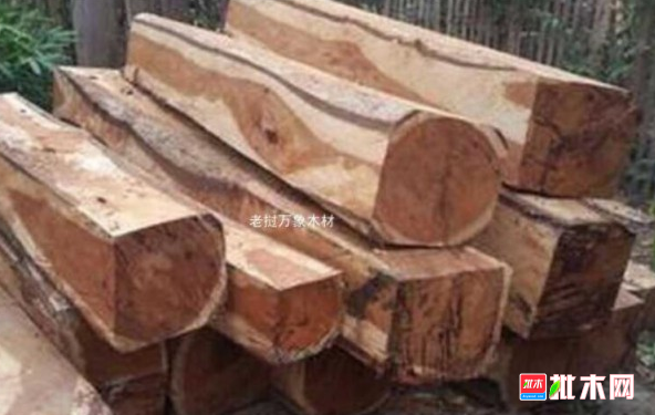 anywood.com
