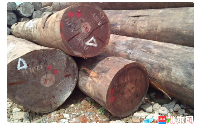anywood.com