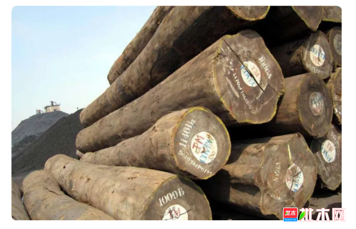 anywood.com