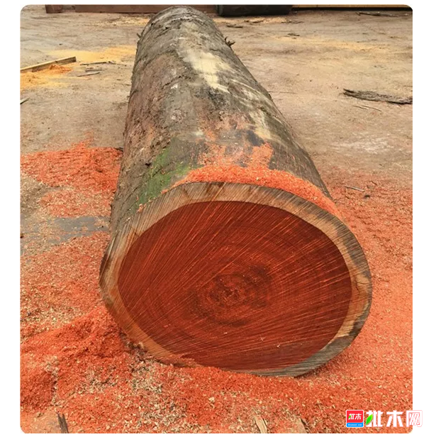 anywood.com