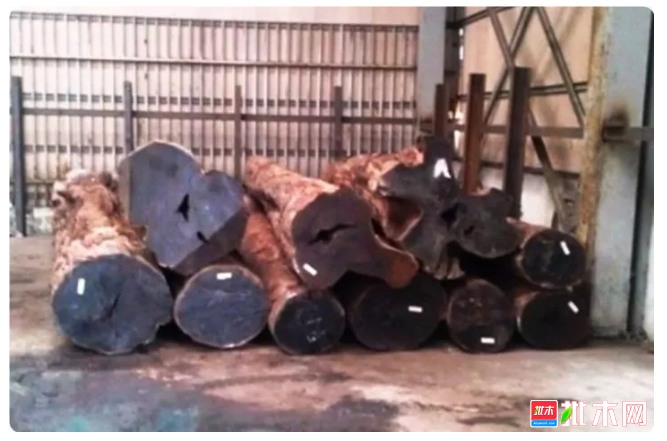 anywood.com