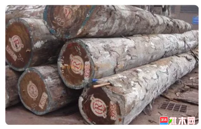 anywood.com