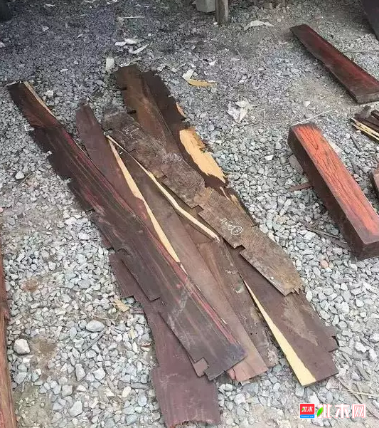 anywood.com