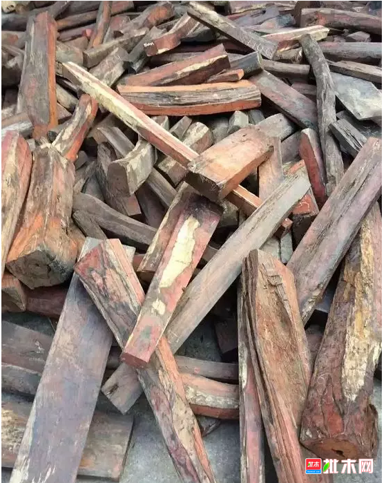 anywood.com