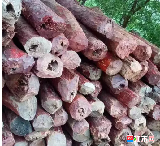 anywood.com
