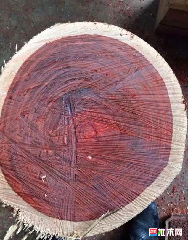 anywood.com