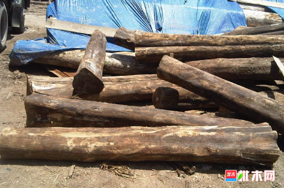 批木网 anywood.com