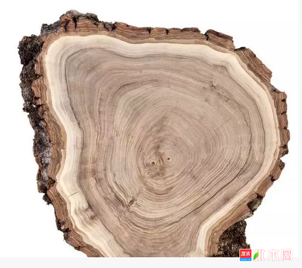 aanywood.com