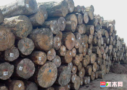 批木网 anywood.com