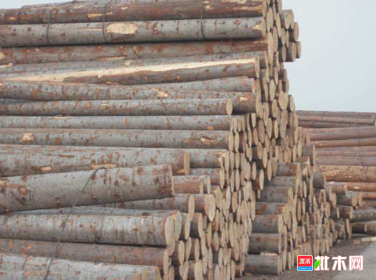 批木网 anywood.com