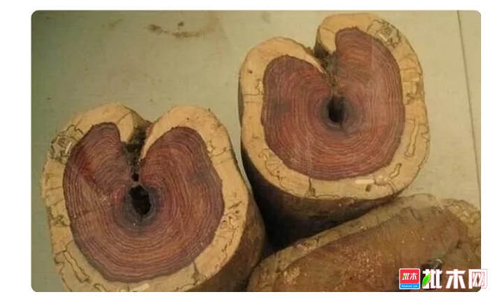 anywood.com