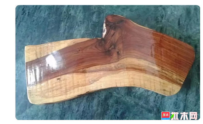 anywood.com