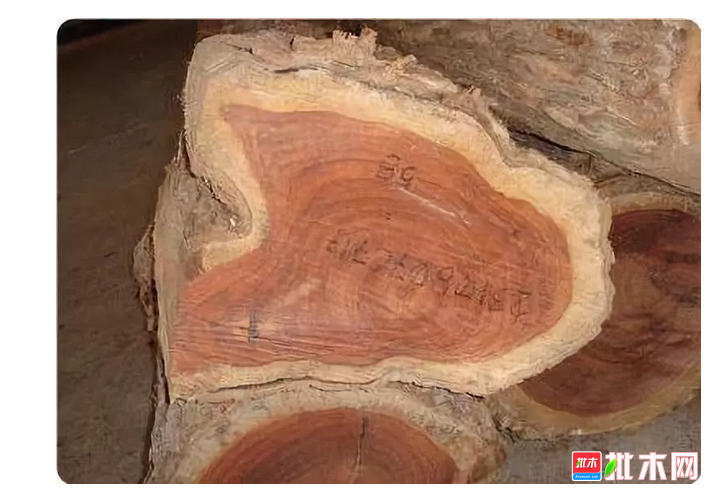 anywood.com