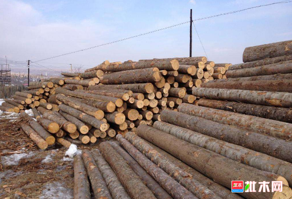 批木网 anywood.com