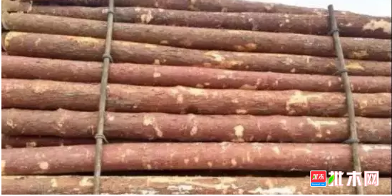 anywood.com
