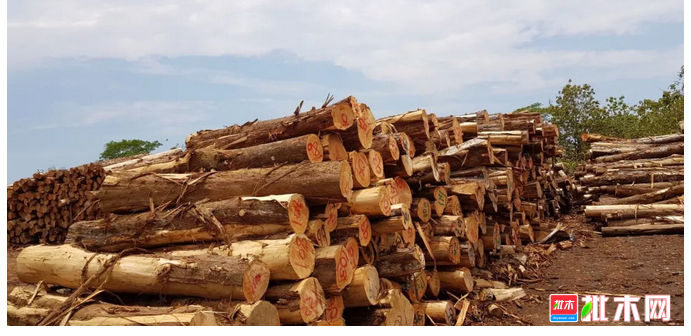 anywood.com