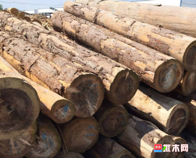 批木网 anywood.com