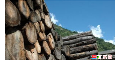 anywood.com