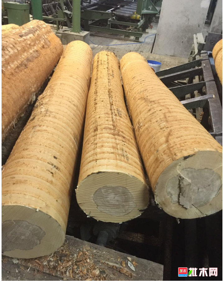 anywood.com