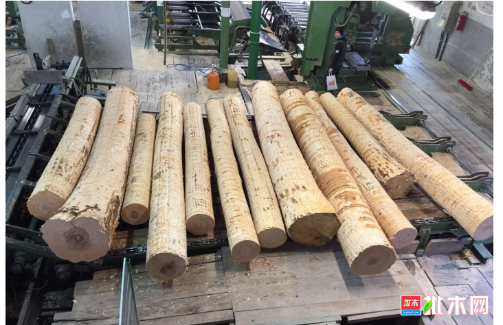 anywood.com