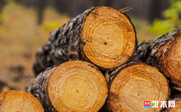 批木网 anywood.com