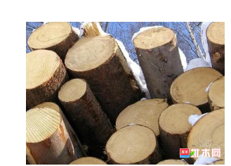 anywood.com