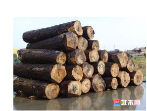 anywood.com