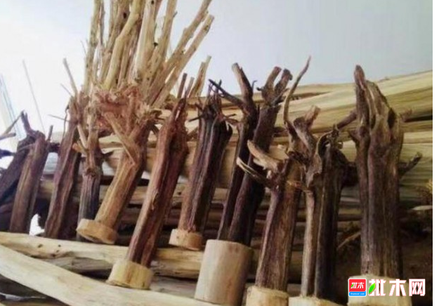 anywood.com
