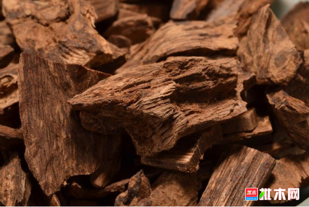 anywood.com